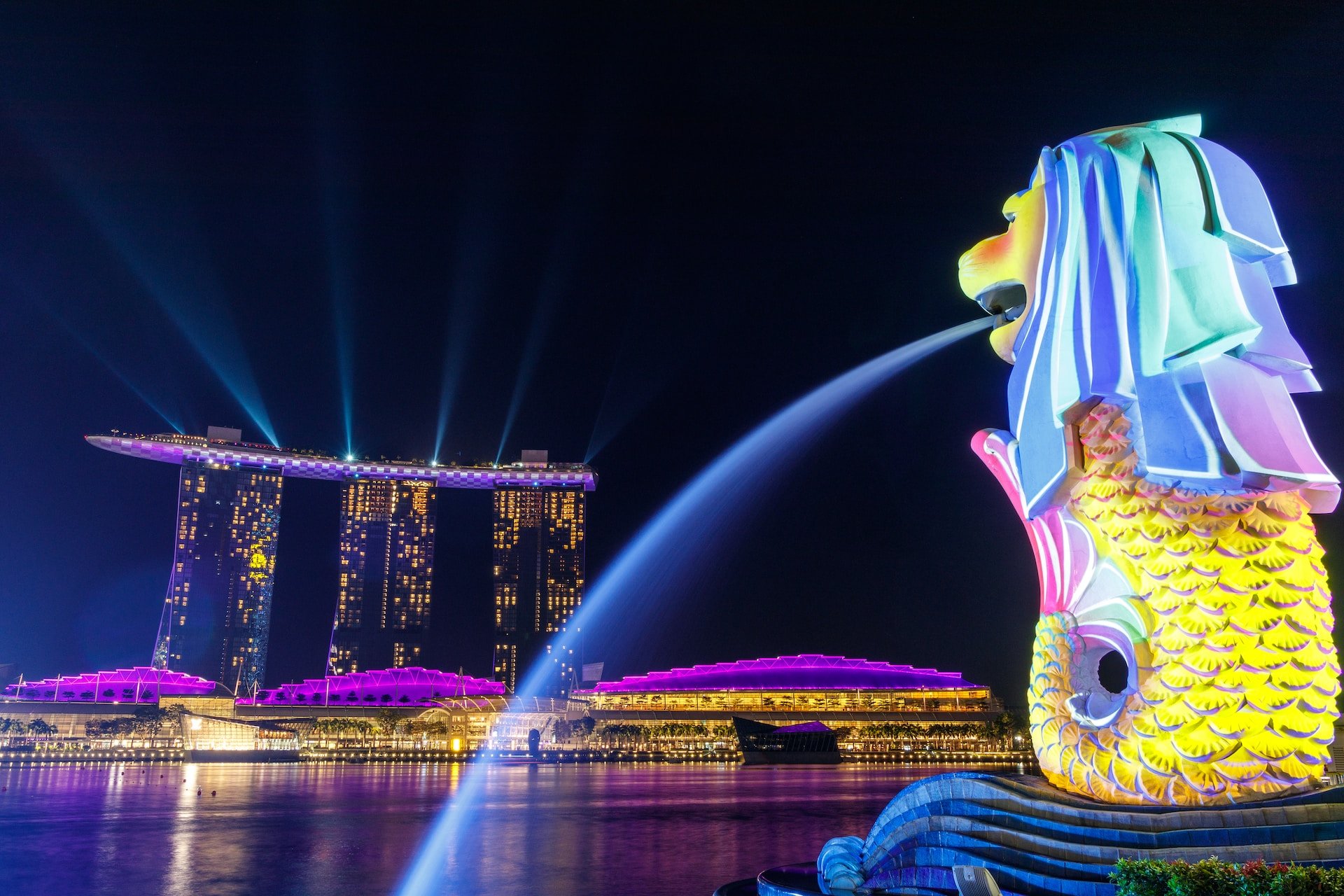 Private Singapore Maritime Security Company